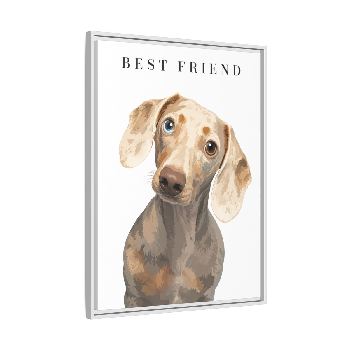 Modern Portrait Custom Pet Framed Canvas