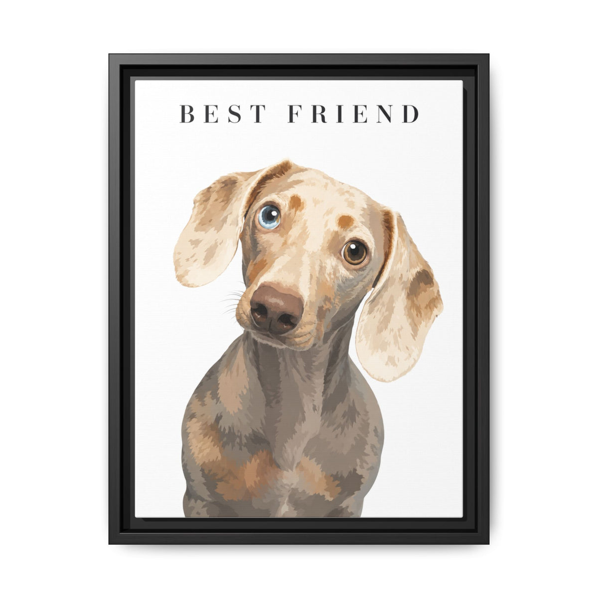 Modern Portrait Custom Pet Framed Canvas