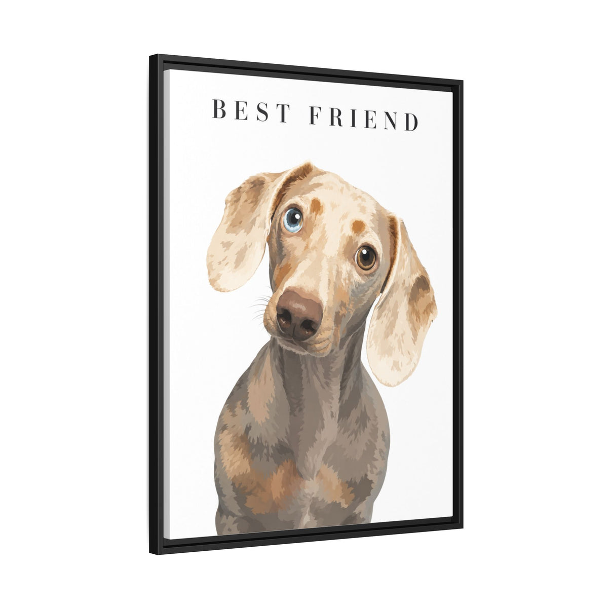 Modern Portrait Custom Pet Framed Canvas