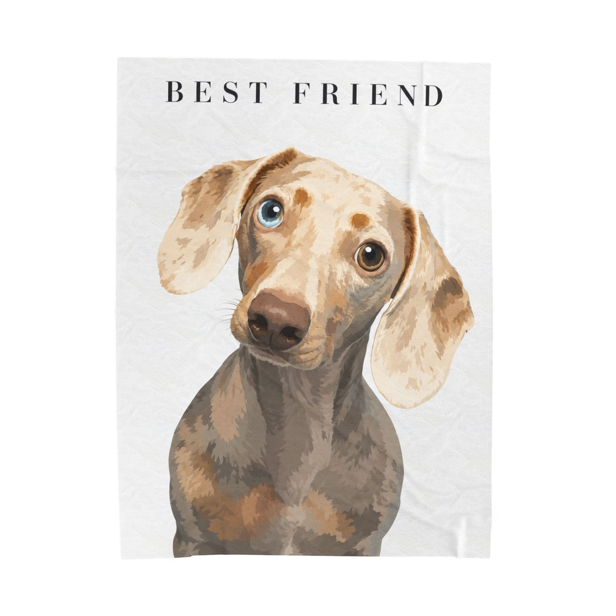 Modern Portrait Custom Pet Blanket