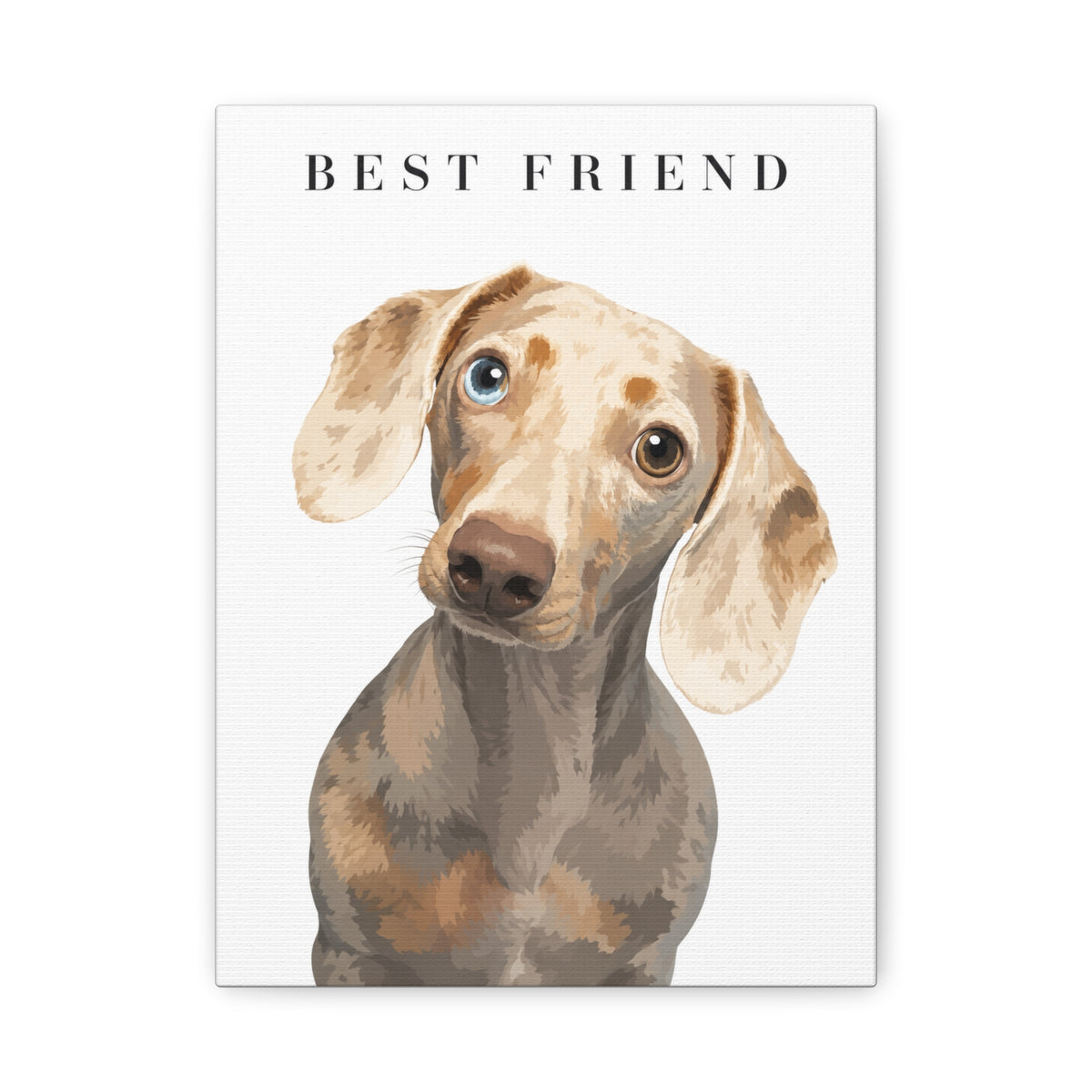 Modern Portrait Custom Pet Canvas