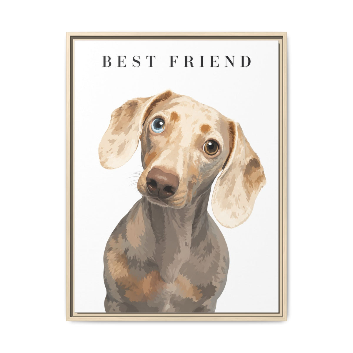 Modern Portrait Custom Pet Framed Canvas