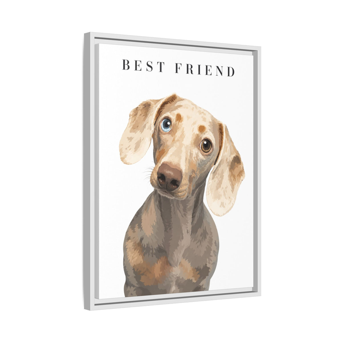 Modern Portrait Custom Pet Framed Canvas