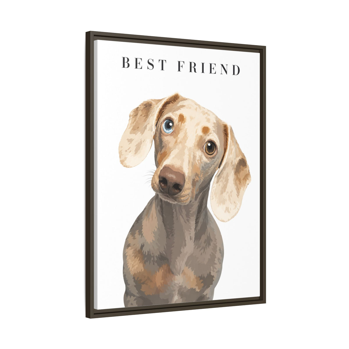 Modern Portrait Custom Pet Framed Canvas