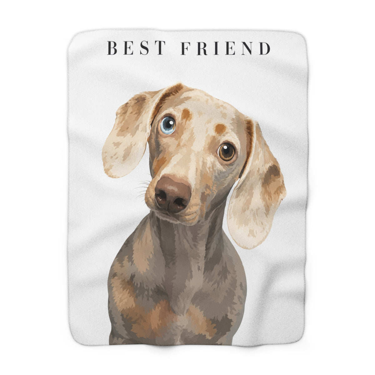 Modern Portrait Custom Pet Sherpa Blanket