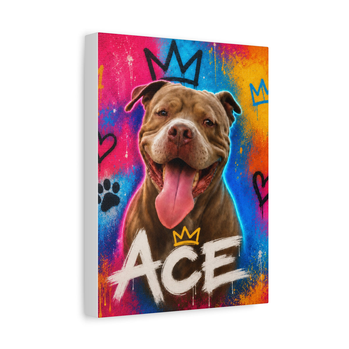 Street Art Custom Pet Canvas