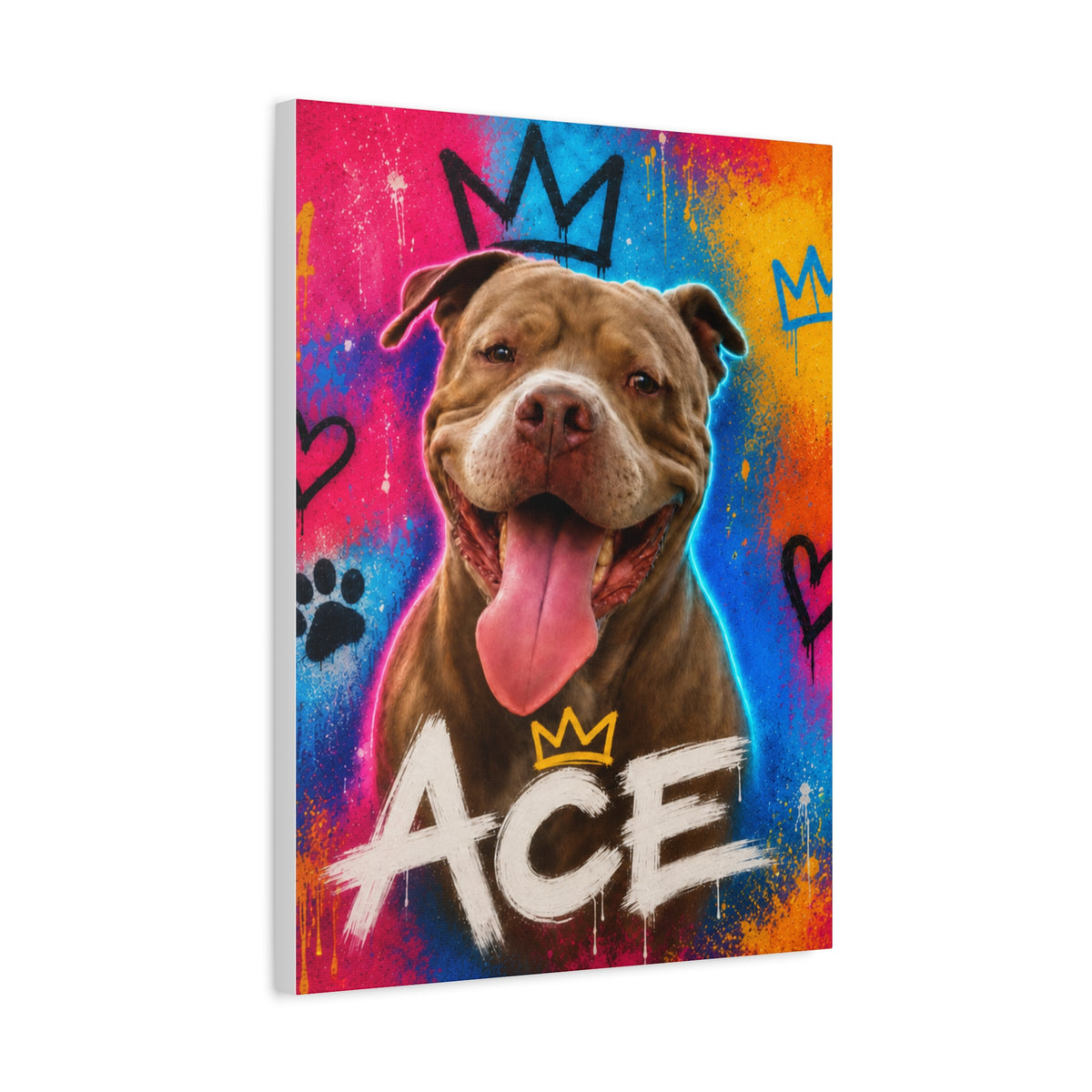 Street Art Custom Pet Canvas