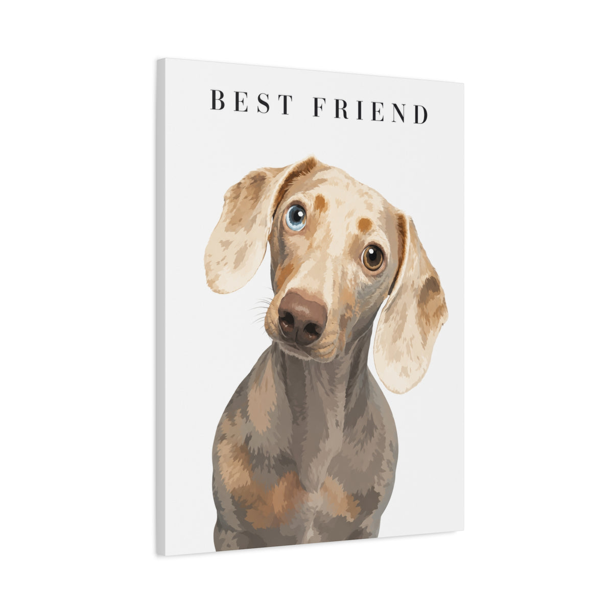 Modern Portrait Custom Pet Canvas