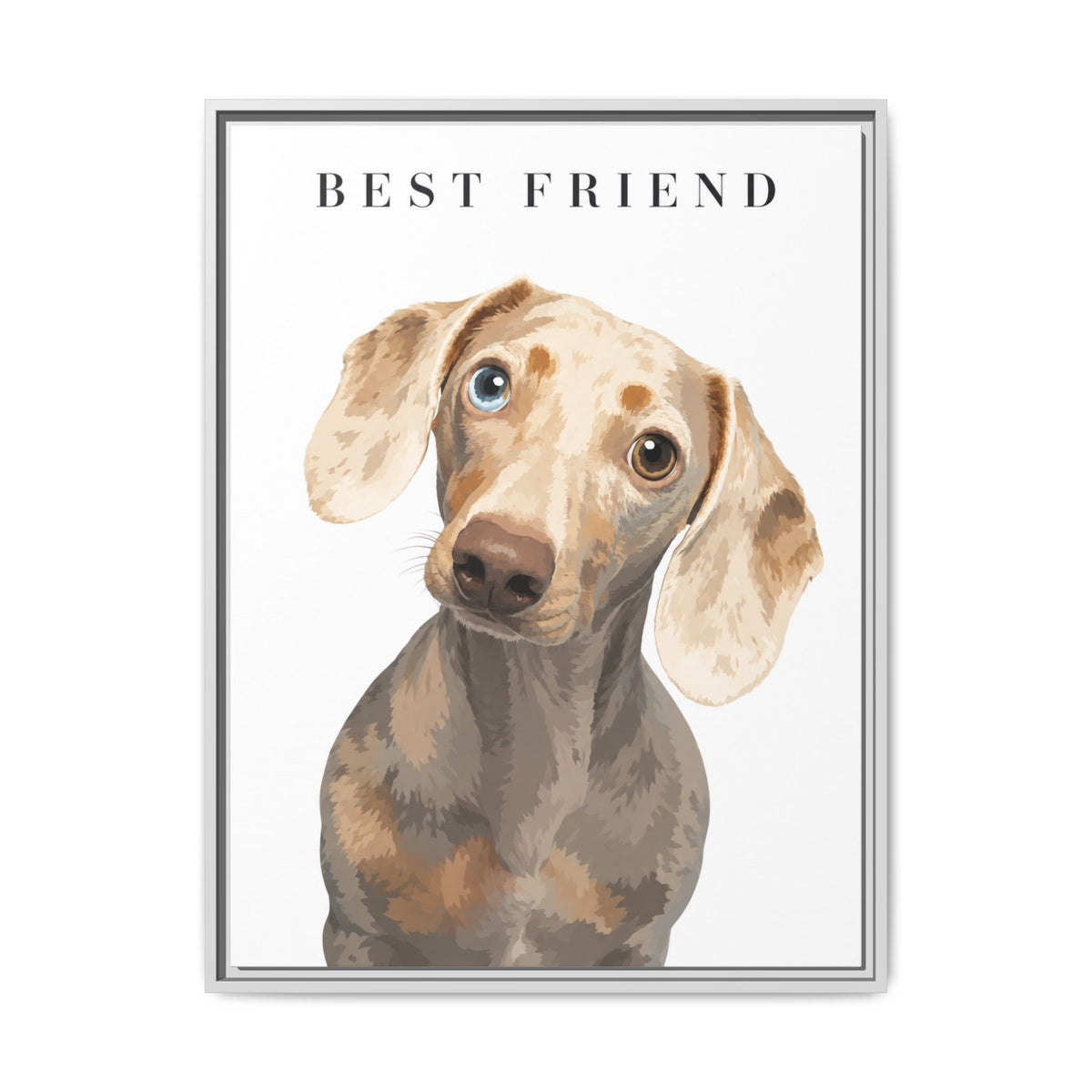 Modern Portrait Custom Pet Framed Canvas