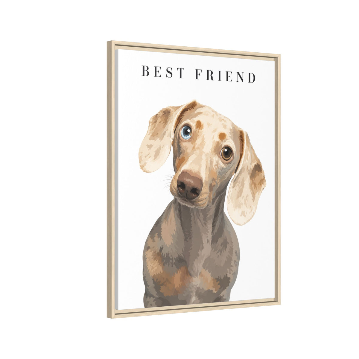 Modern Portrait Custom Pet Framed Canvas