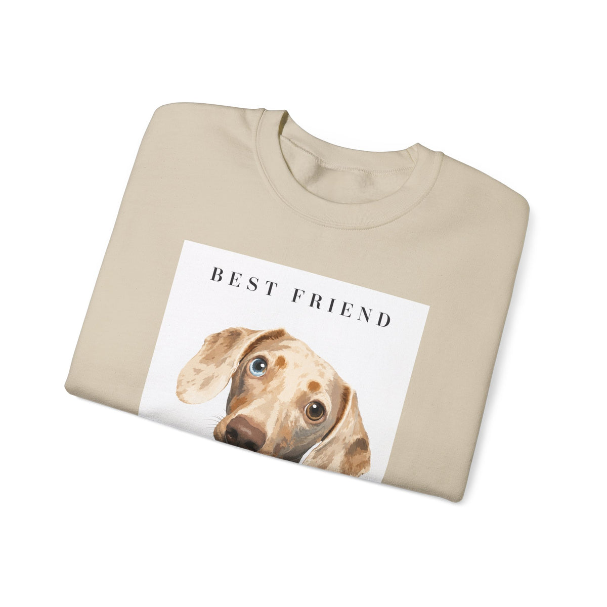 Modern Portrait Custom Pet Crewneck
