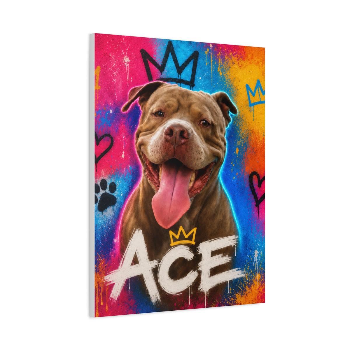 Street Art Custom Pet Canvas