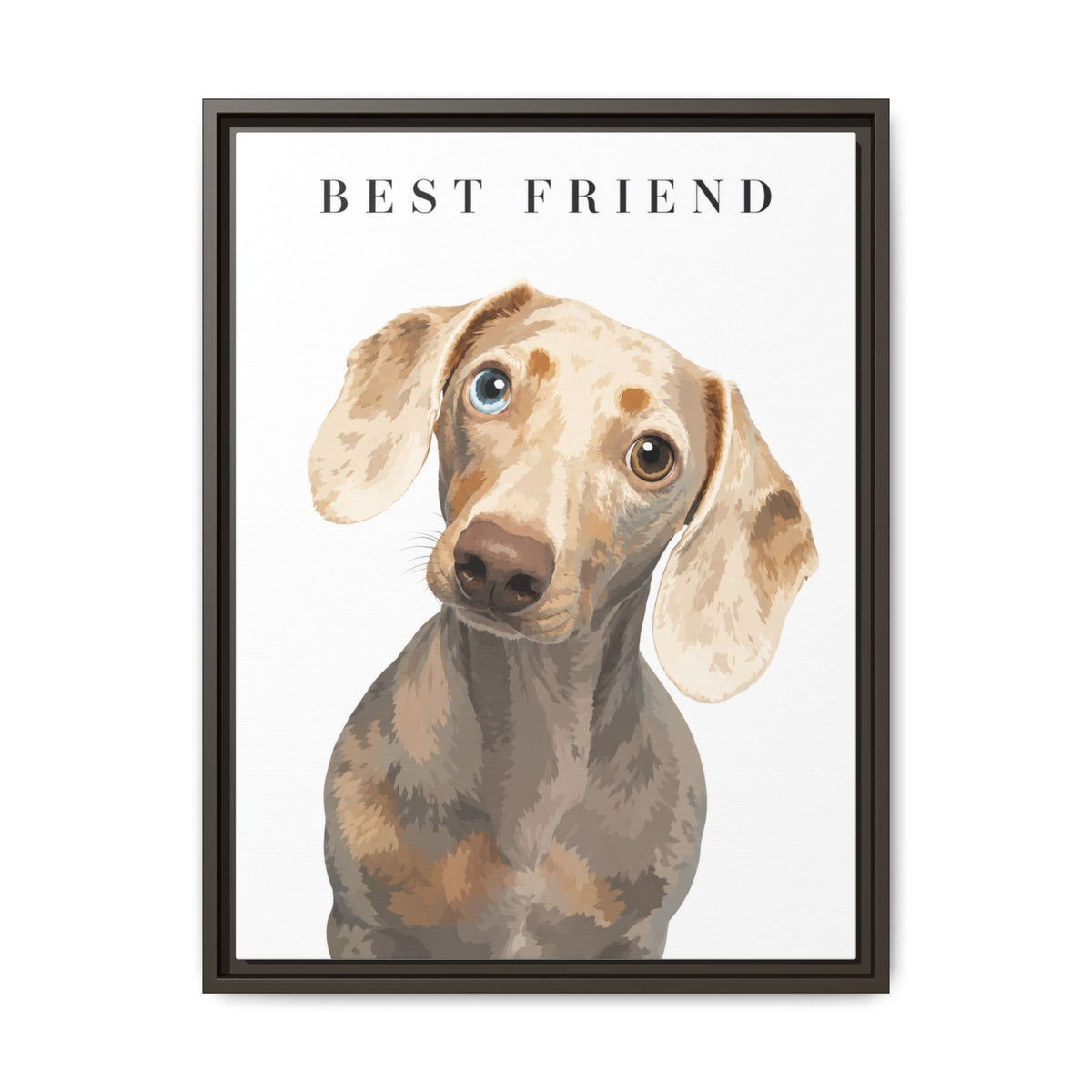 Modern Portrait Custom Pet Framed Canvas