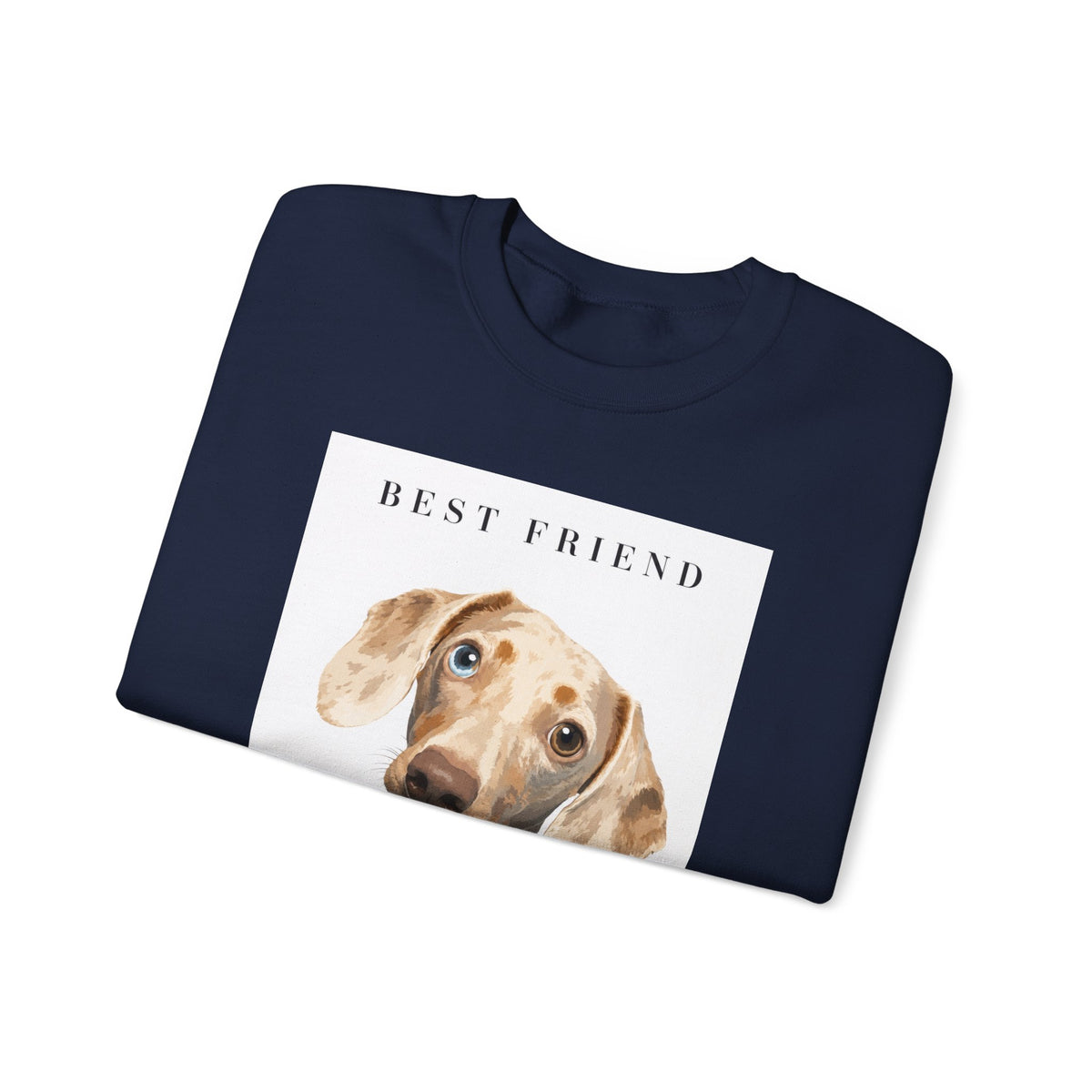 Modern Portrait Custom Pet Crewneck
