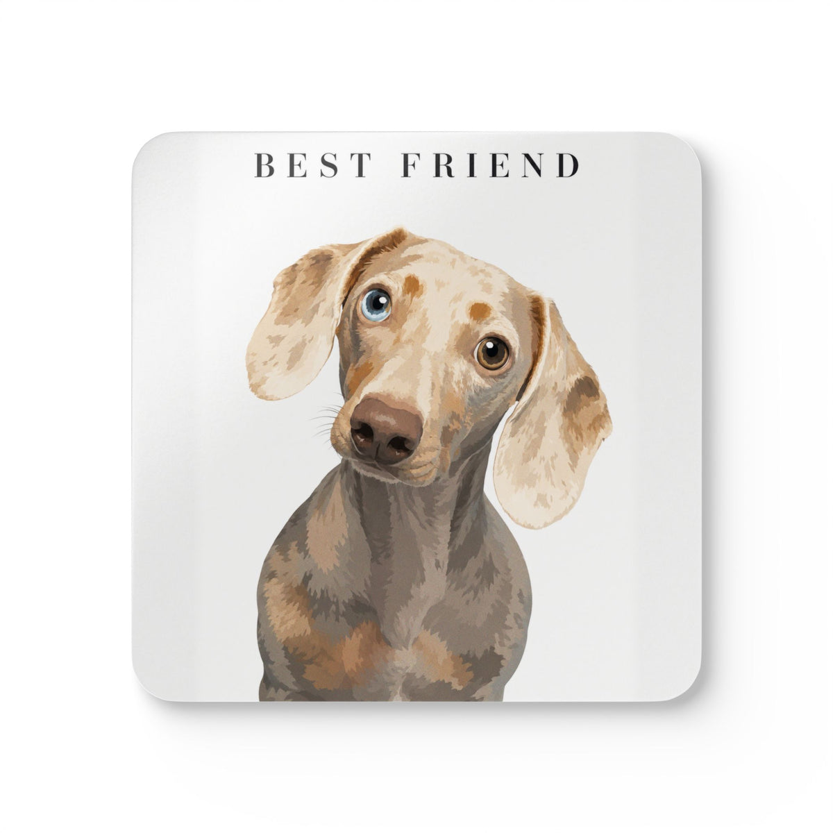 Modern Portrait Custom Pet Coasters