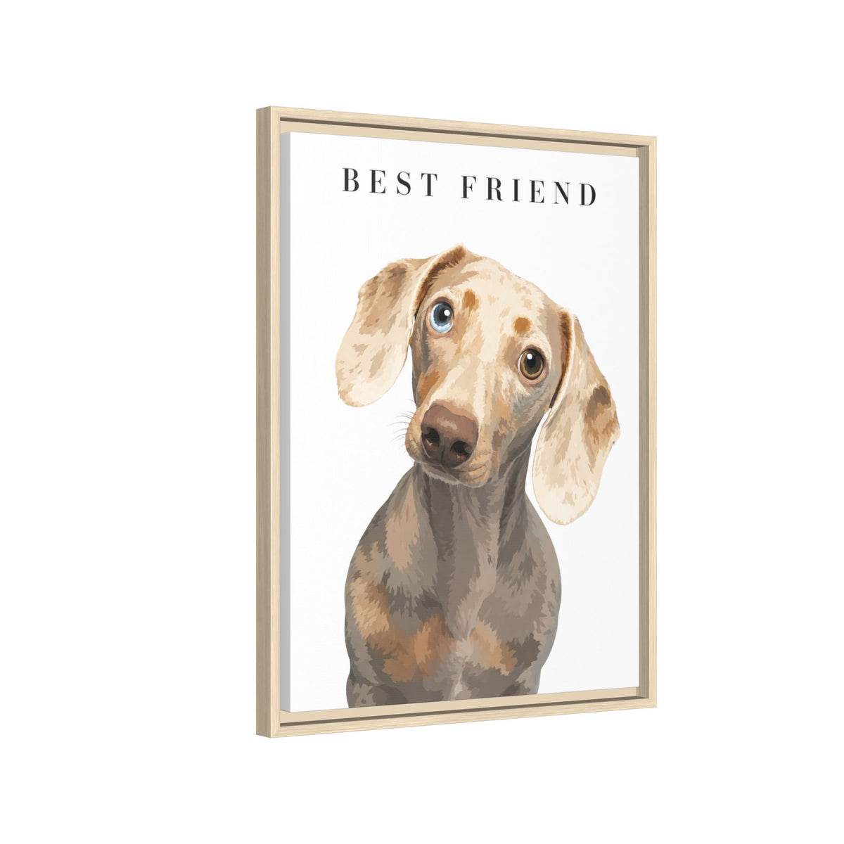 Modern Portrait Custom Pet Framed Canvas