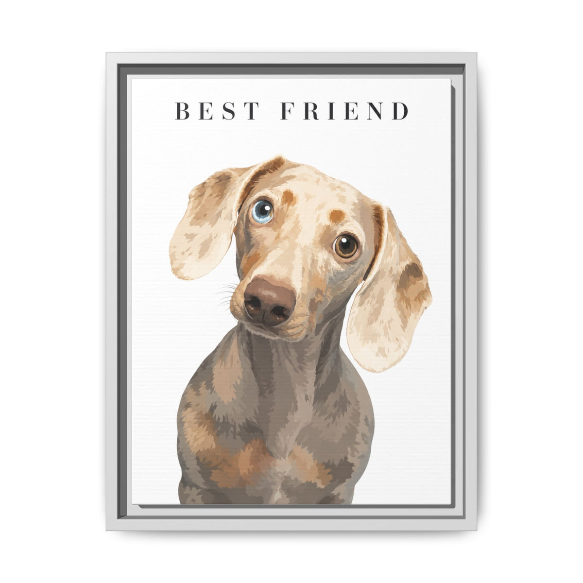 Modern Portrait Custom Pet Framed Canvas