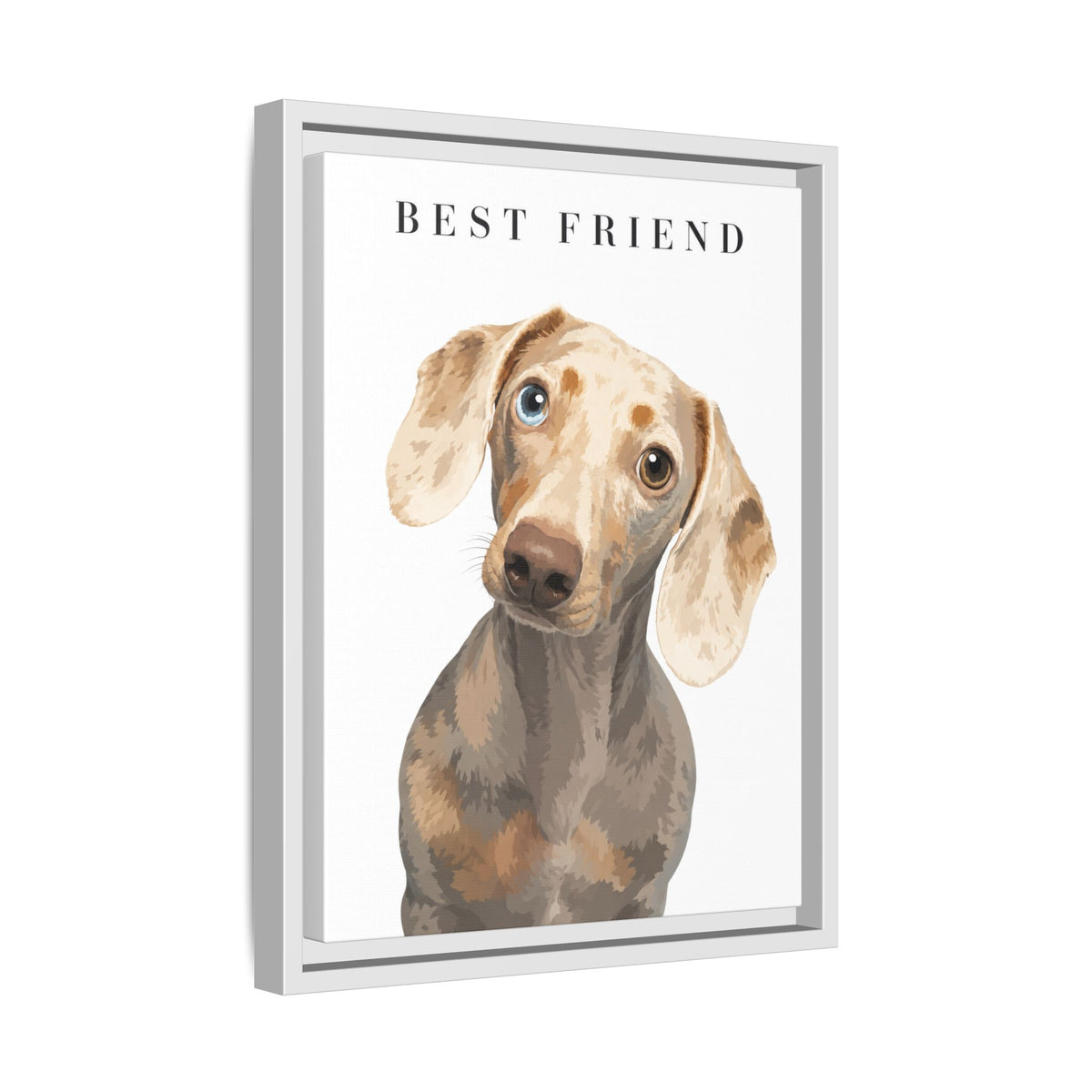 Modern Portrait Custom Pet Framed Canvas