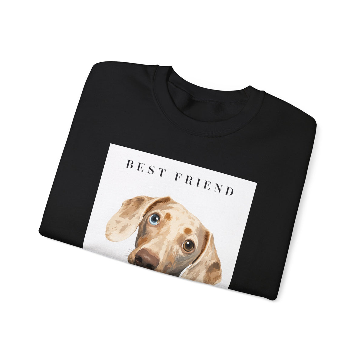 Modern Portrait Custom Pet Crewneck