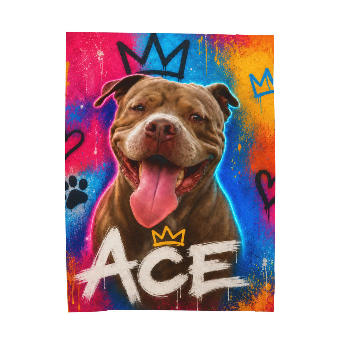 Street Art Custom Pet Blanket