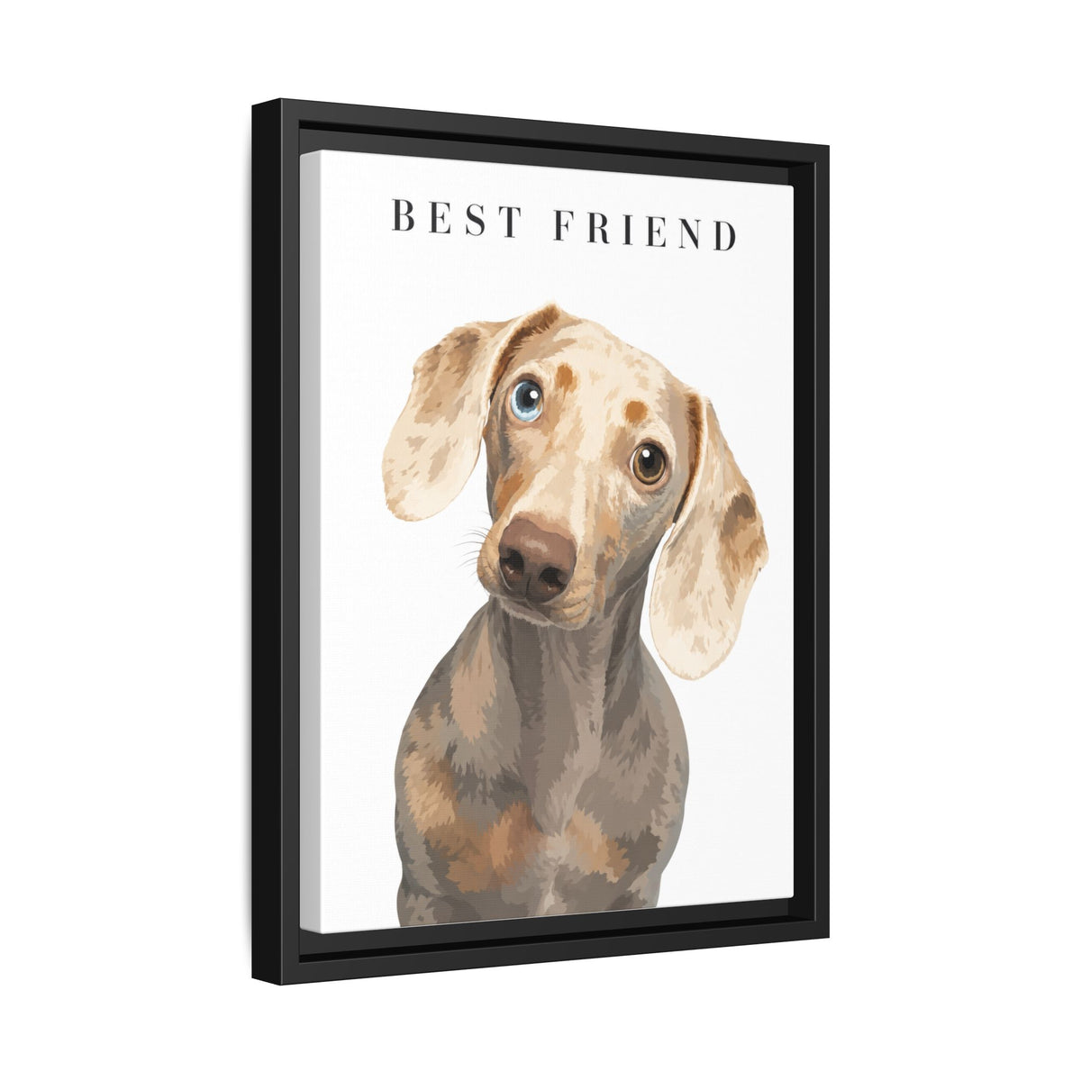 Modern Portrait Custom Pet Framed Canvas