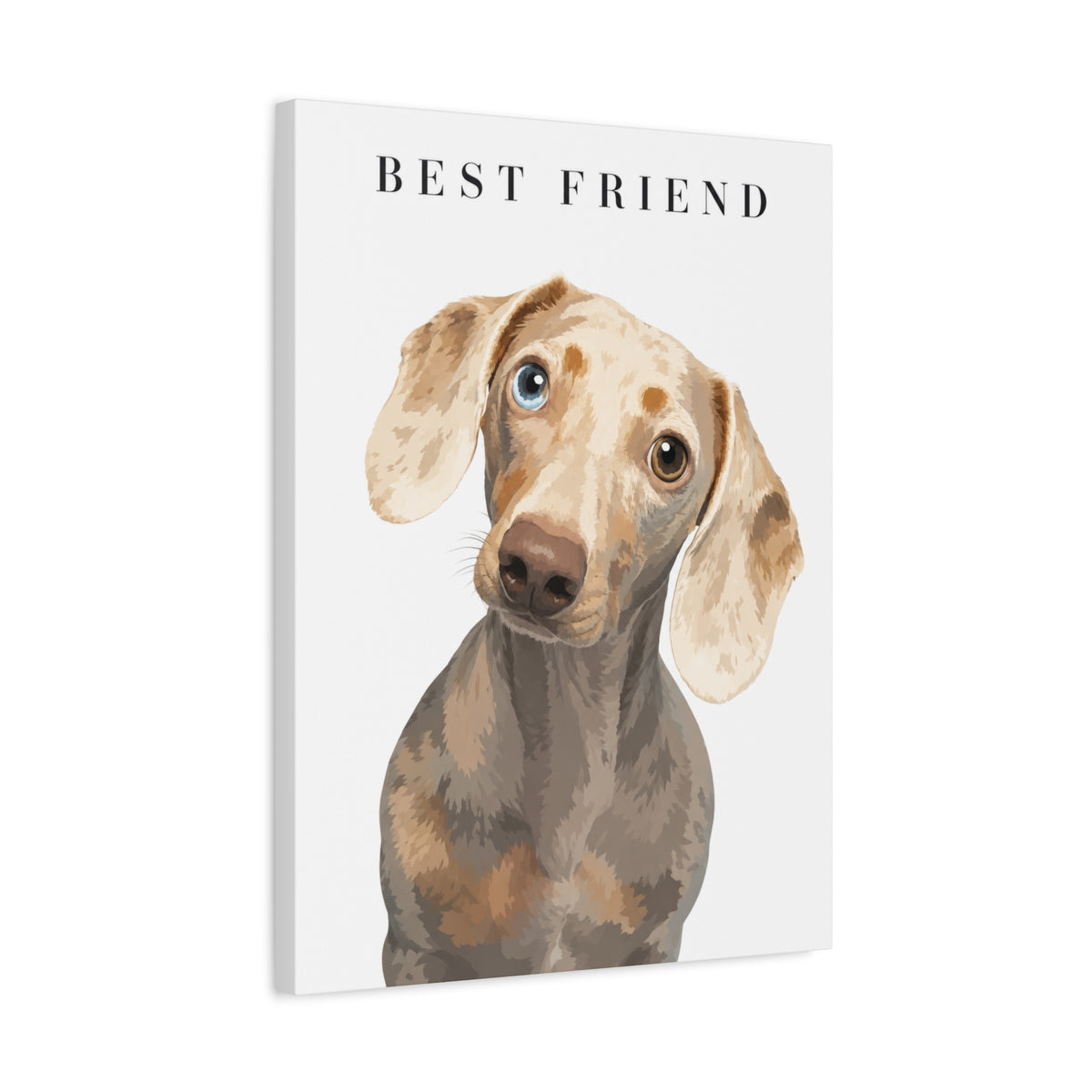 Modern Portrait Custom Pet Canvas