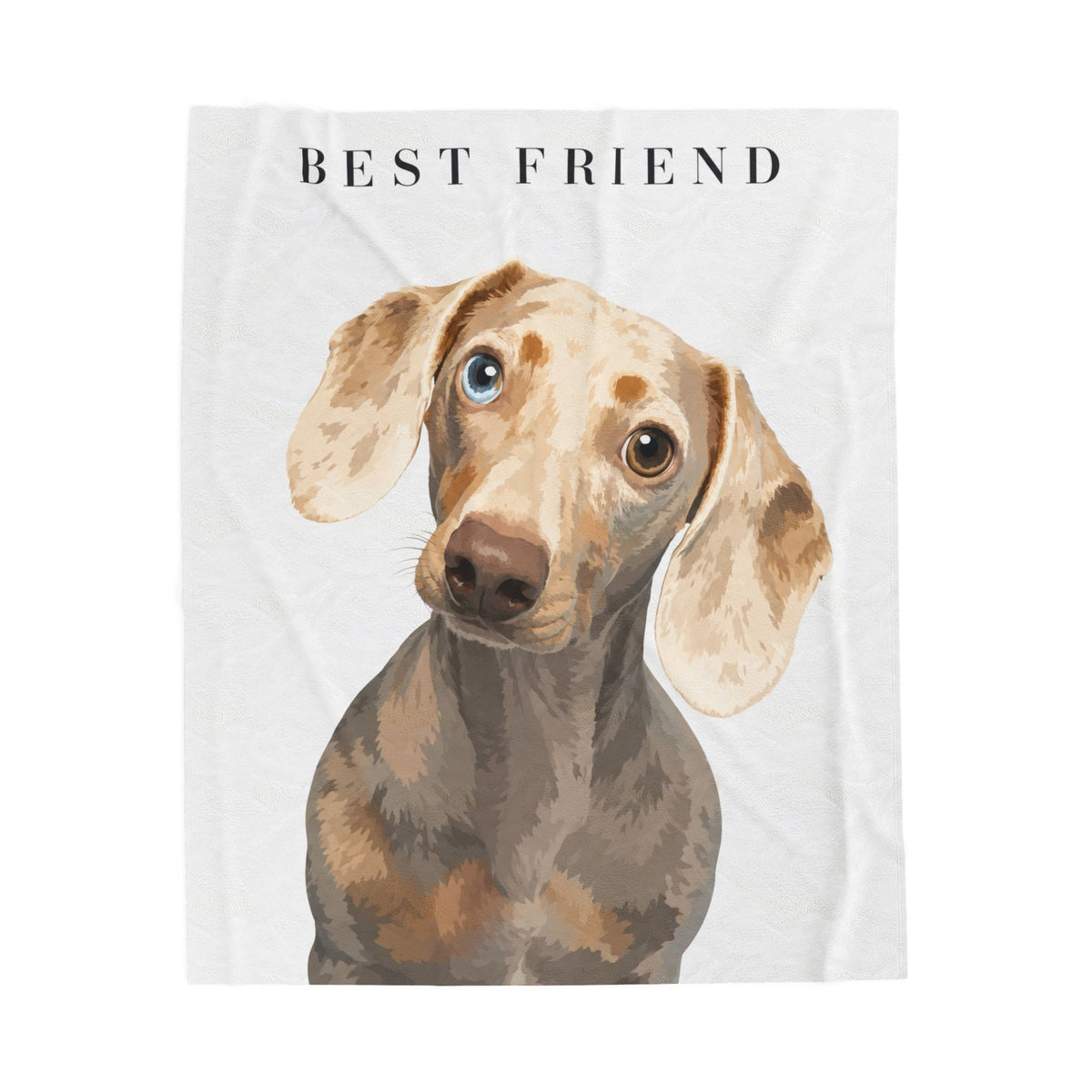 Modern Portrait Custom Pet Blanket