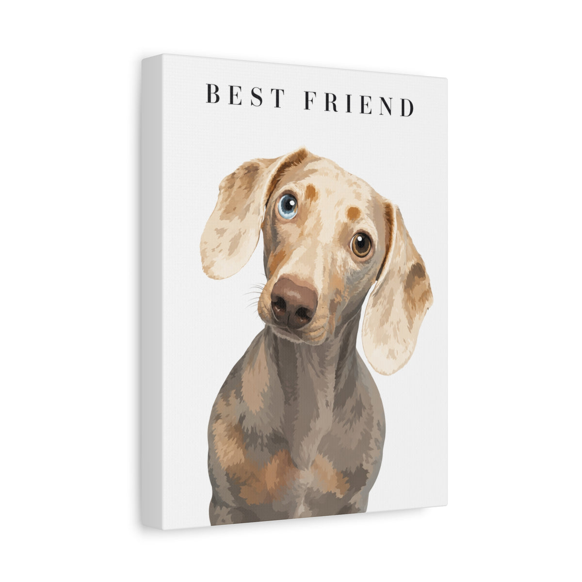Modern Portrait Custom Pet Canvas