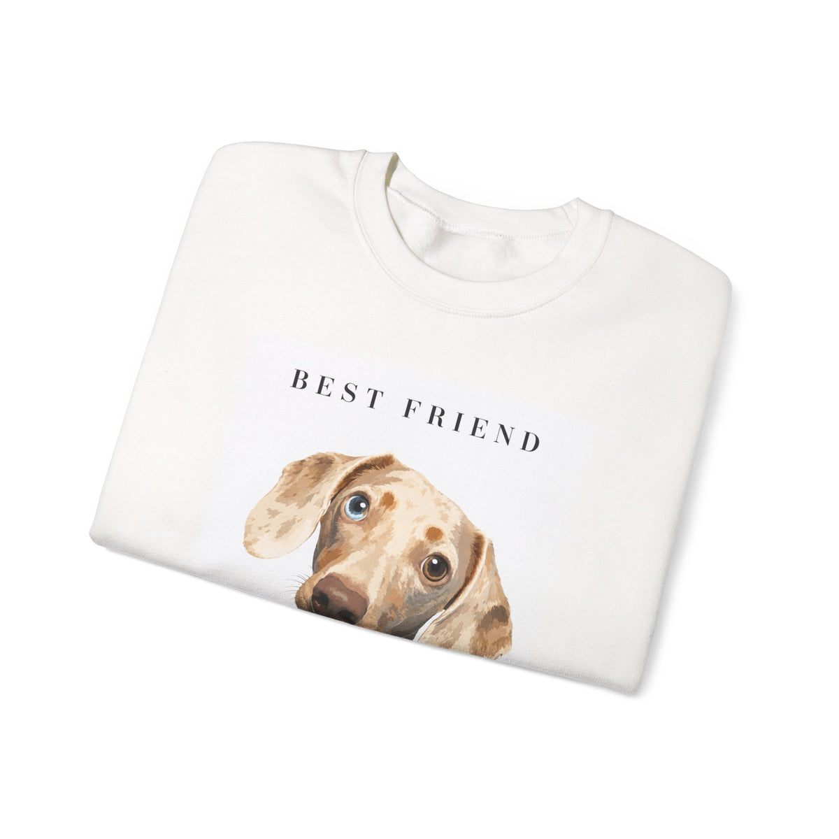 Modern Portrait Custom Pet Crewneck