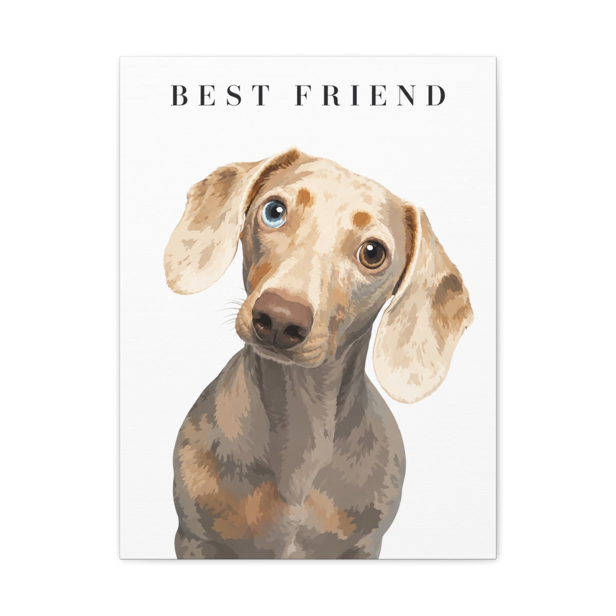 Modern Portrait Custom Pet Canvas