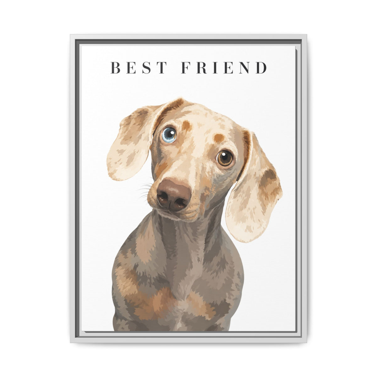 Modern Portrait Custom Pet Framed Canvas