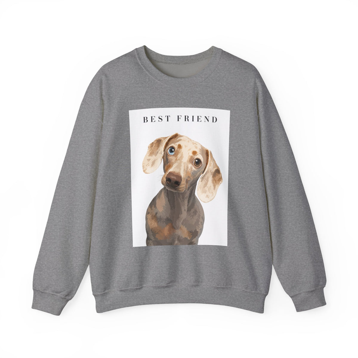 Modern Portrait Custom Pet Crewneck