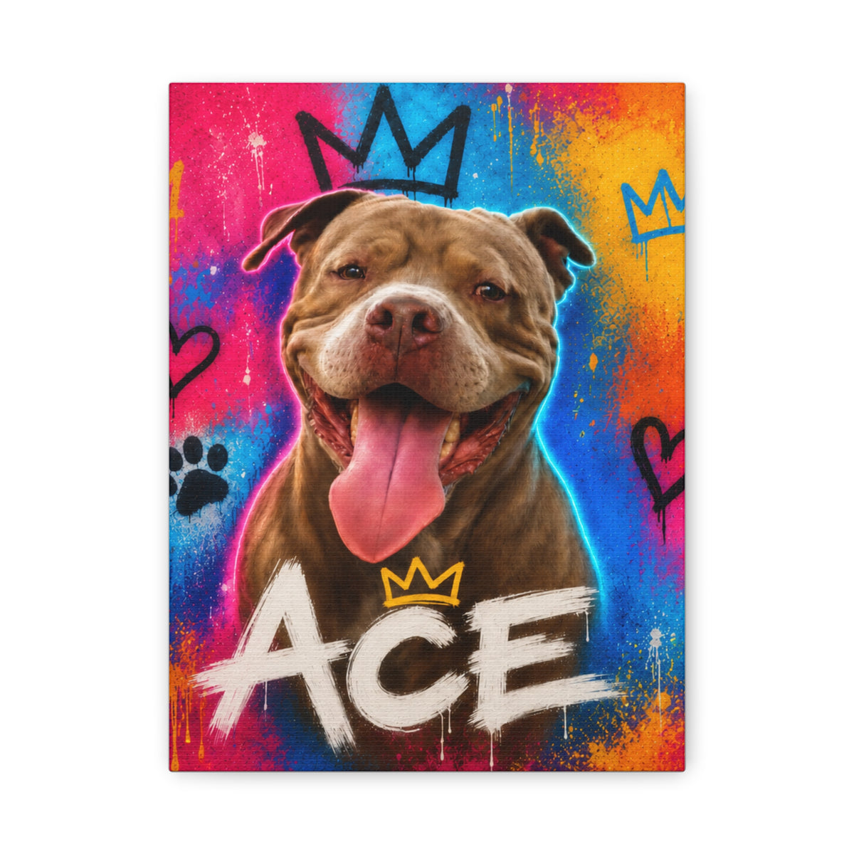 Street Art Custom Pet Canvas