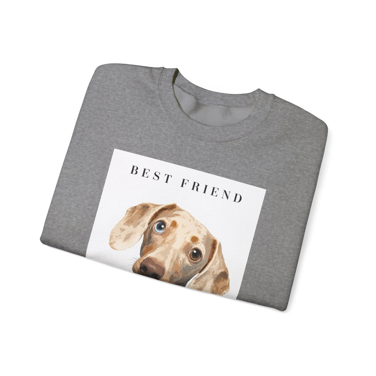 Modern Portrait Custom Pet Crewneck