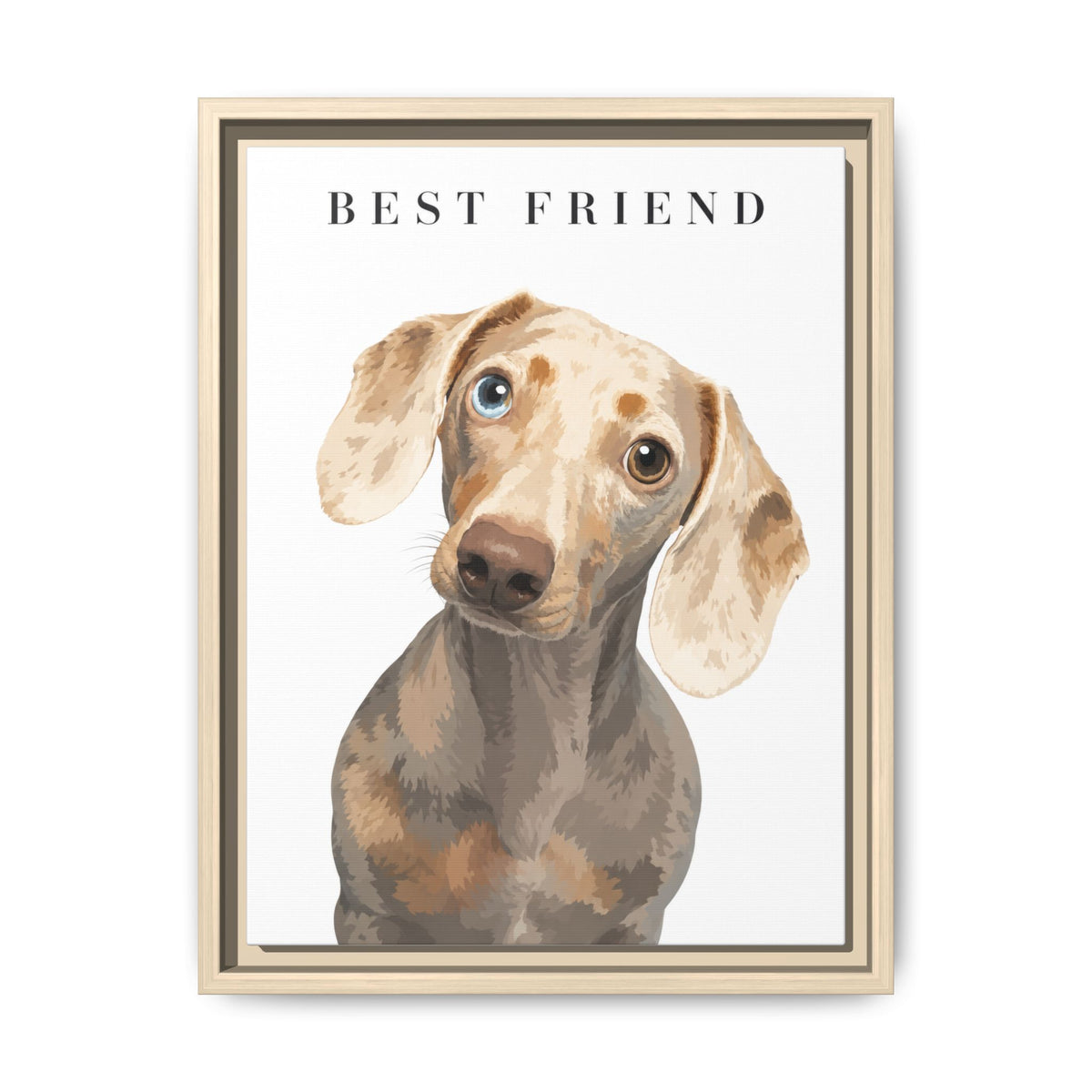 Modern Portrait Custom Pet Framed Canvas