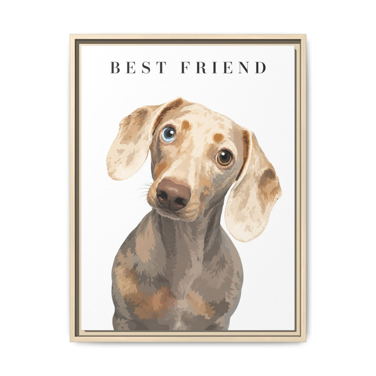 Modern Portrait Custom Pet Framed Canvas