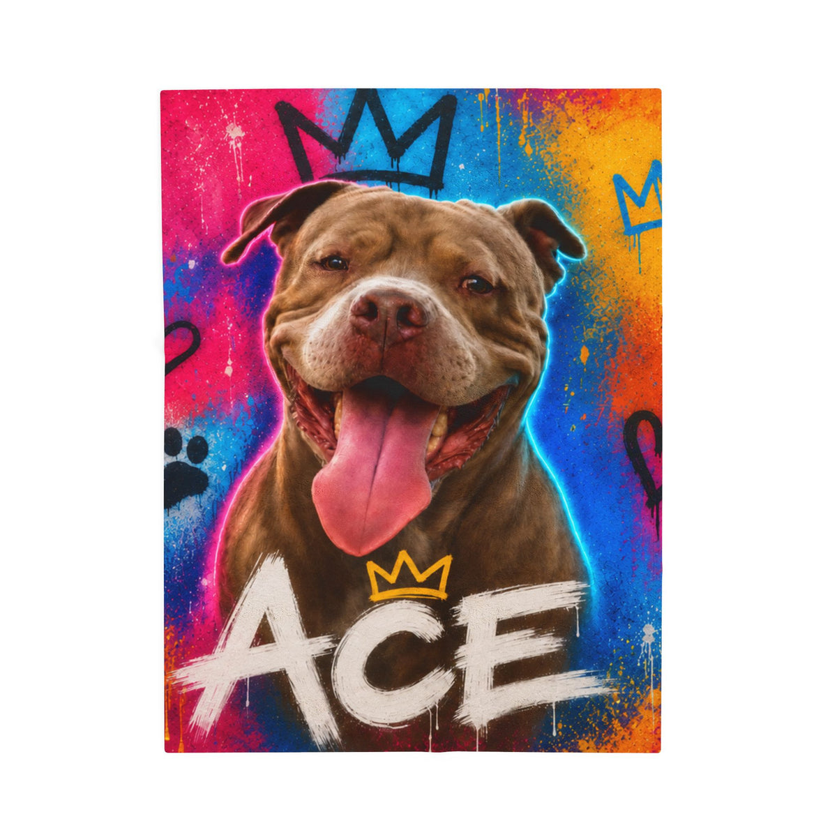 Street Art Custom Pet Blanket