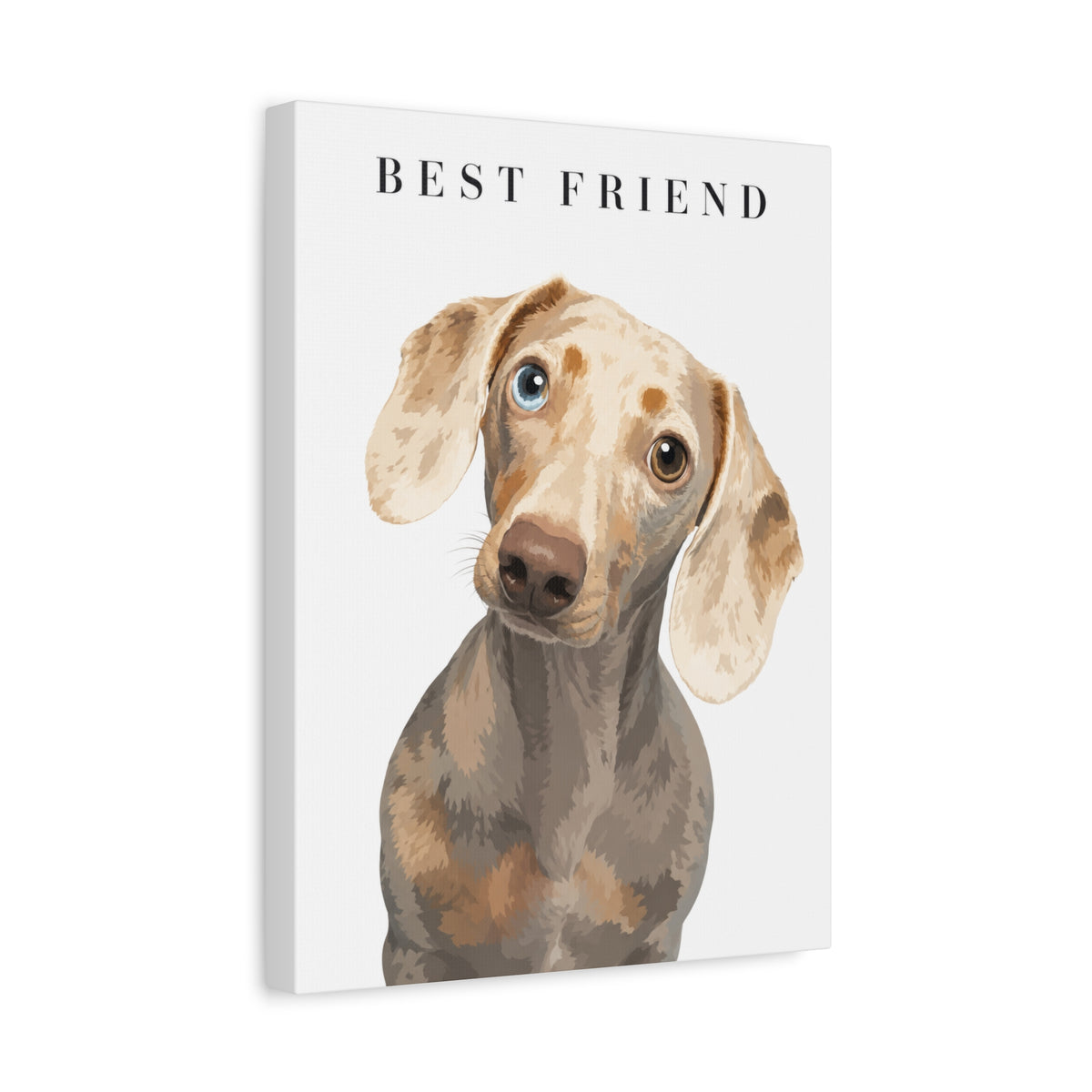 Modern Portrait Custom Pet Canvas