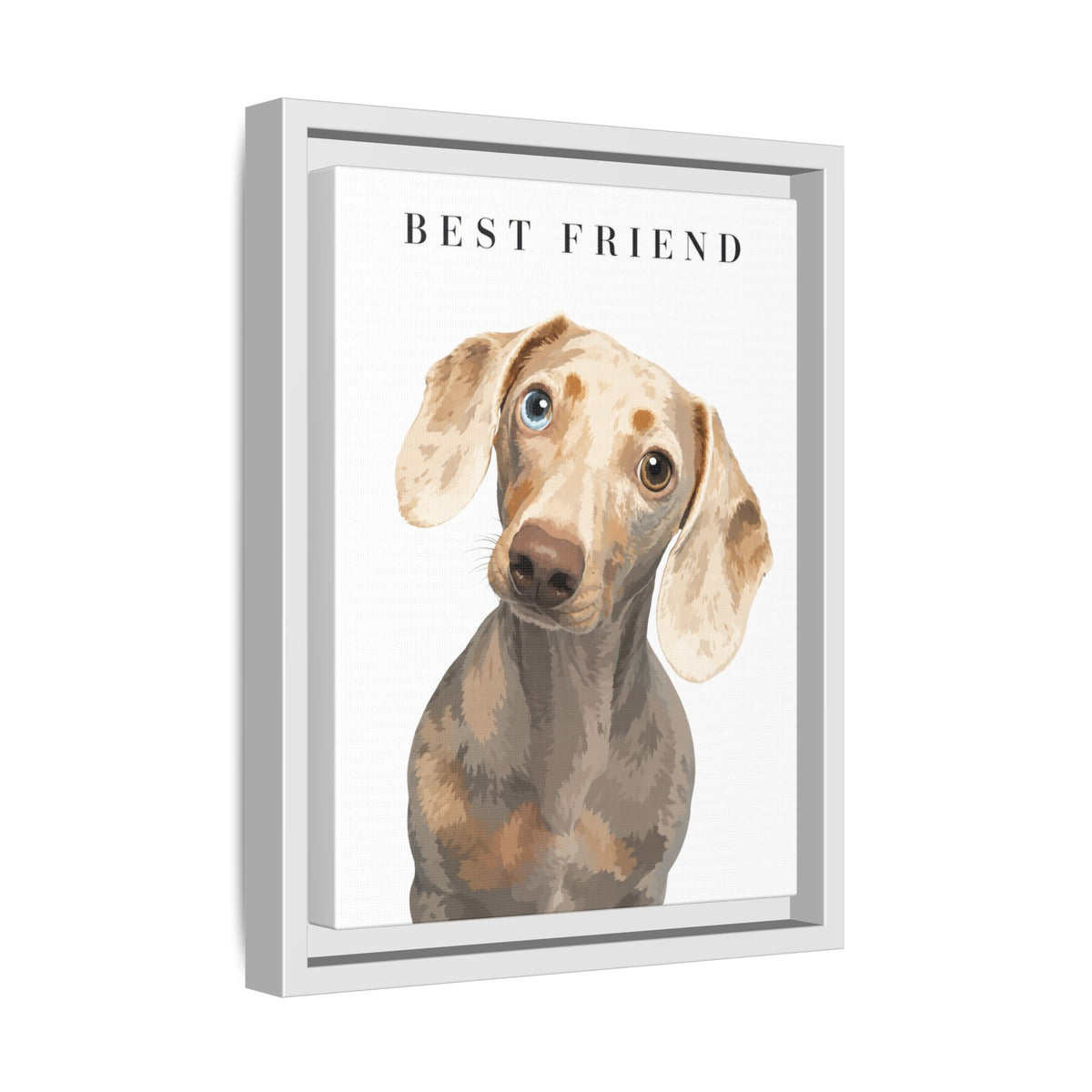 Modern Portrait Custom Pet Framed Canvas