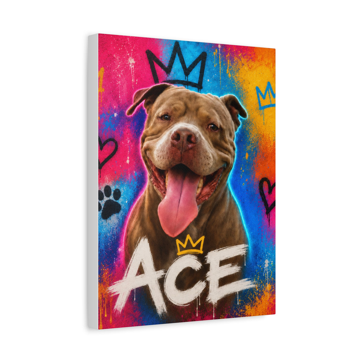 Street Art Custom Pet Canvas