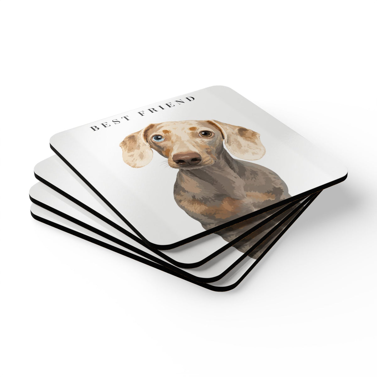 Modern Portrait Custom Pet Coasters