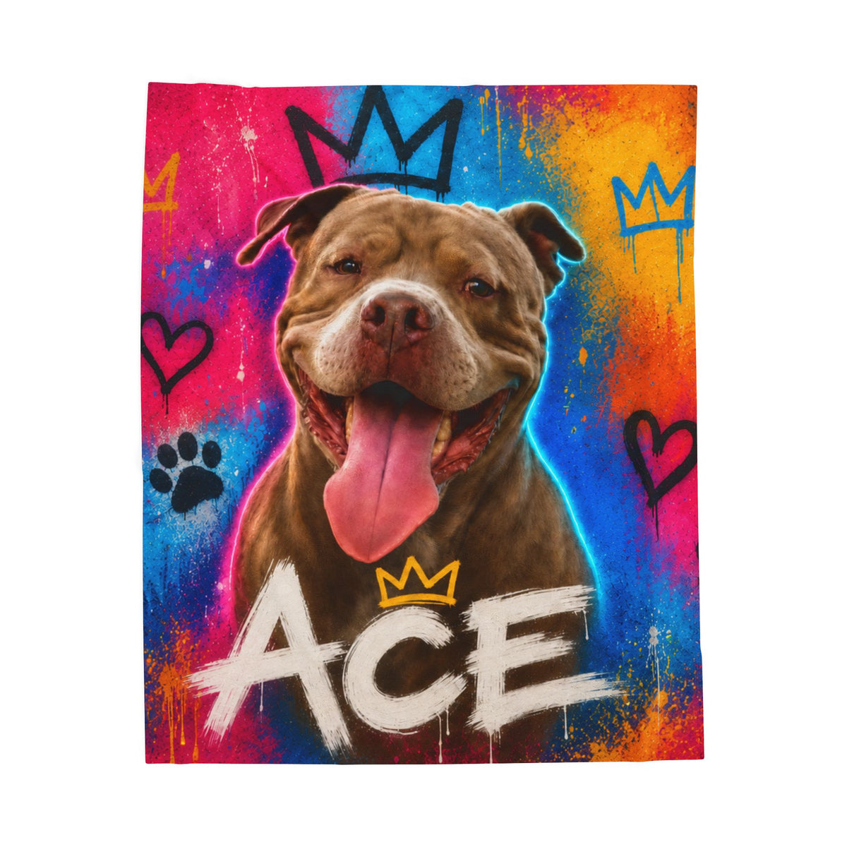 Street Art Custom Pet Blanket