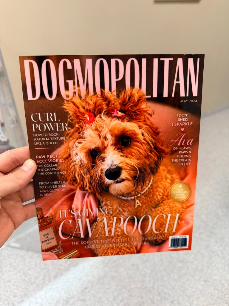 Photograph of a real Dogmopolitan metal print — in hand