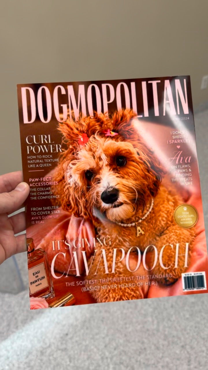 Photograph of a real Dogmopolitan metal print — angled gloss