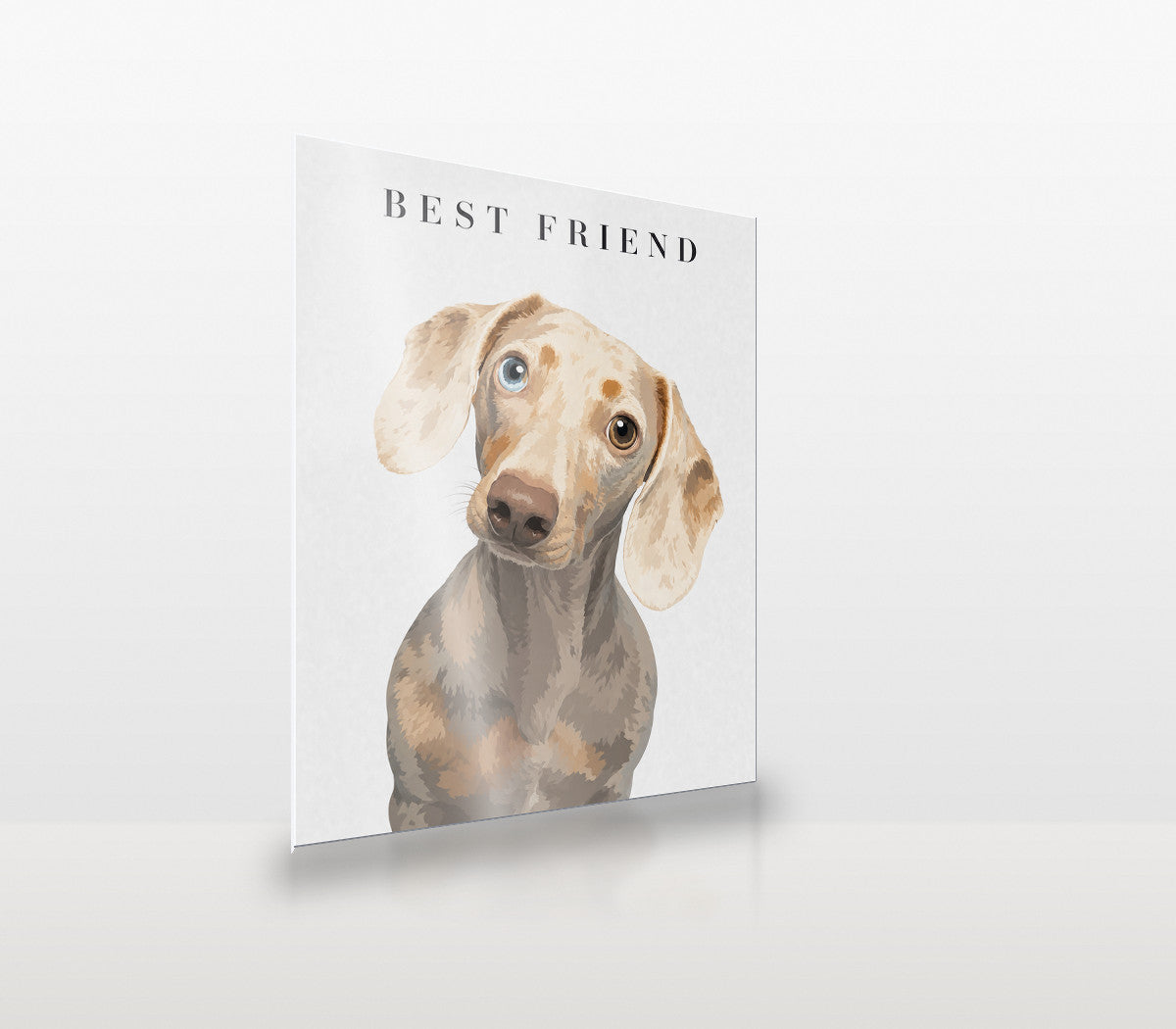 Modern Portrait custom pet metal print at an angle, showing the thin aluminium panel