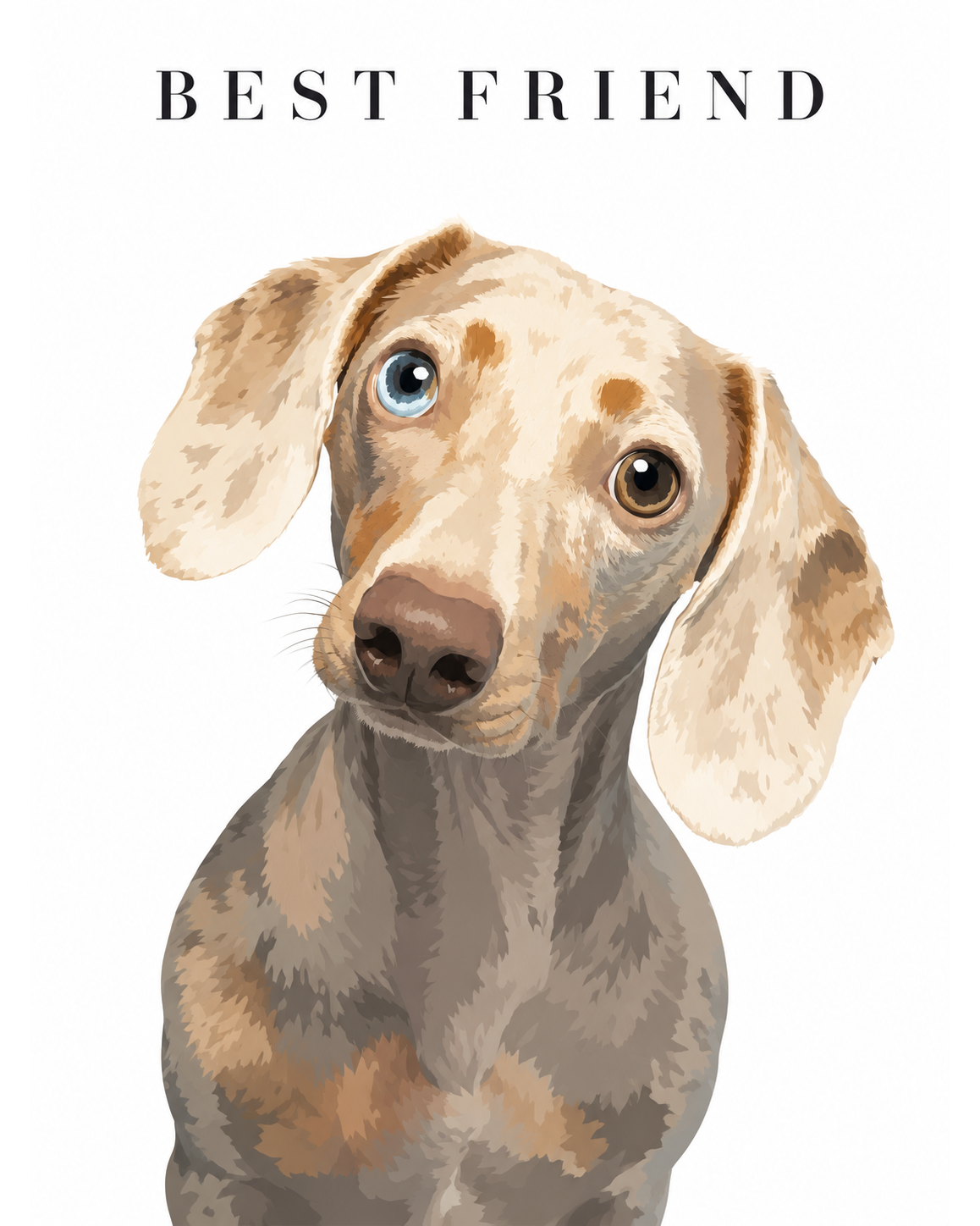 Modern Portrait custom pet portrait artwork