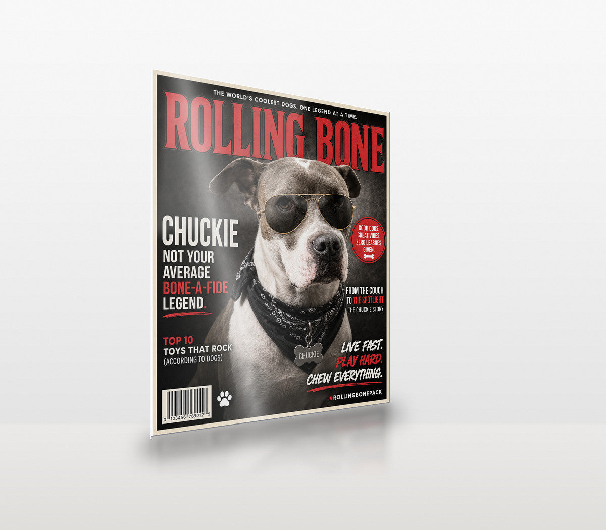 Rolling Bone Magazine custom pet metal print at an angle, showing the thin aluminium panel
