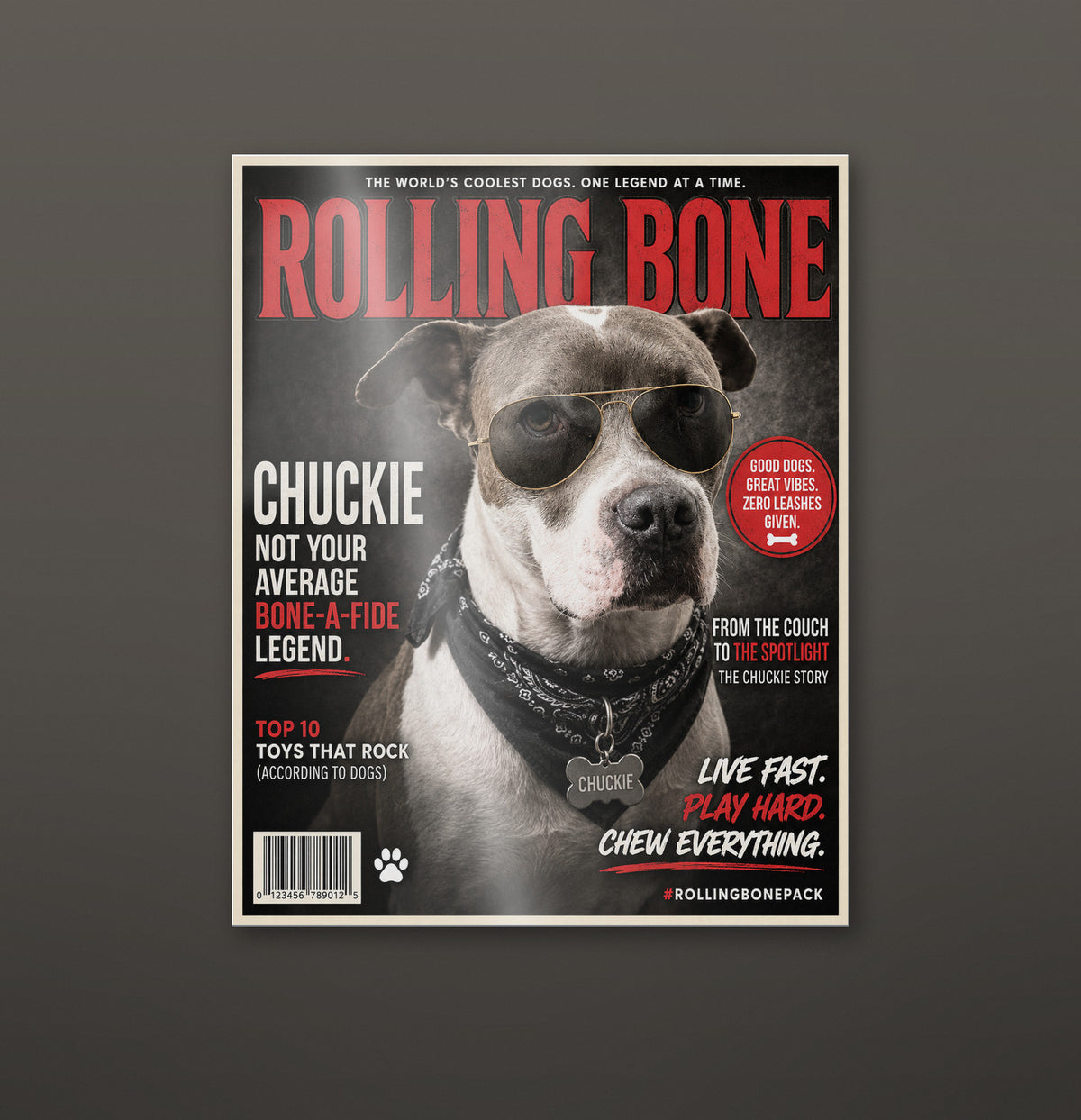 Rolling Bone Magazine custom pet metal print hanging on a wall, glossy aluminium