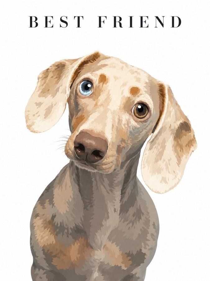 The finished Modern Portrait artwork of Romeo